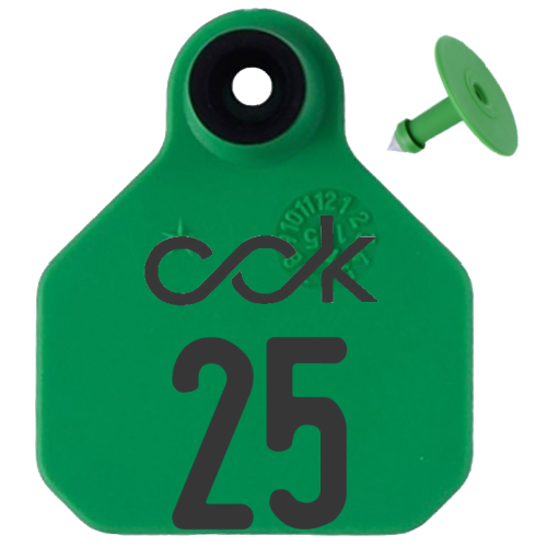 CCK - Tag Grouping - Y-Tex - Mini 2PC - Custom 1 Side