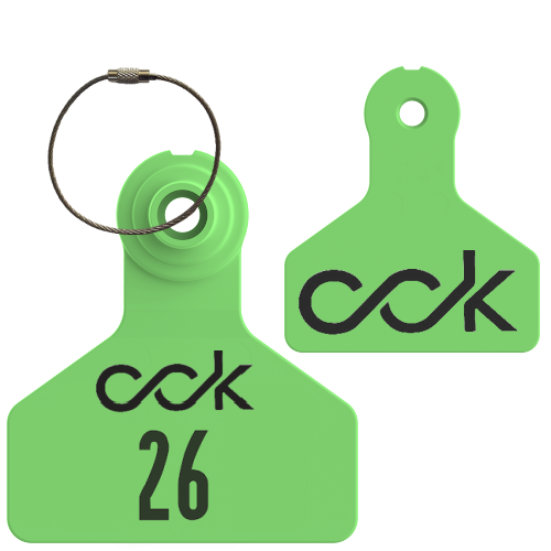 CCK - Collection Group - Misc - Keychain