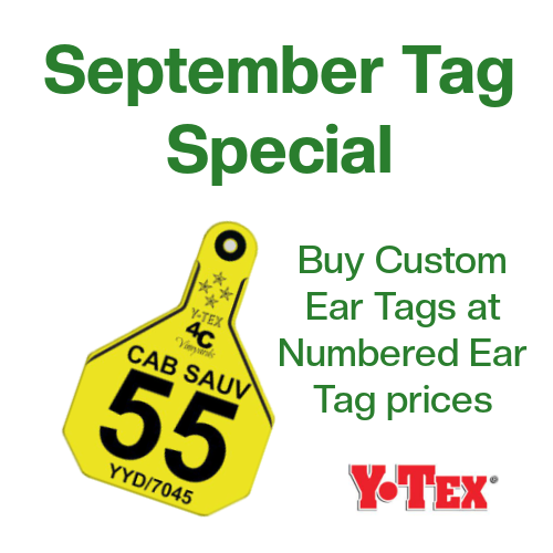 September Custom Ear Tag Special