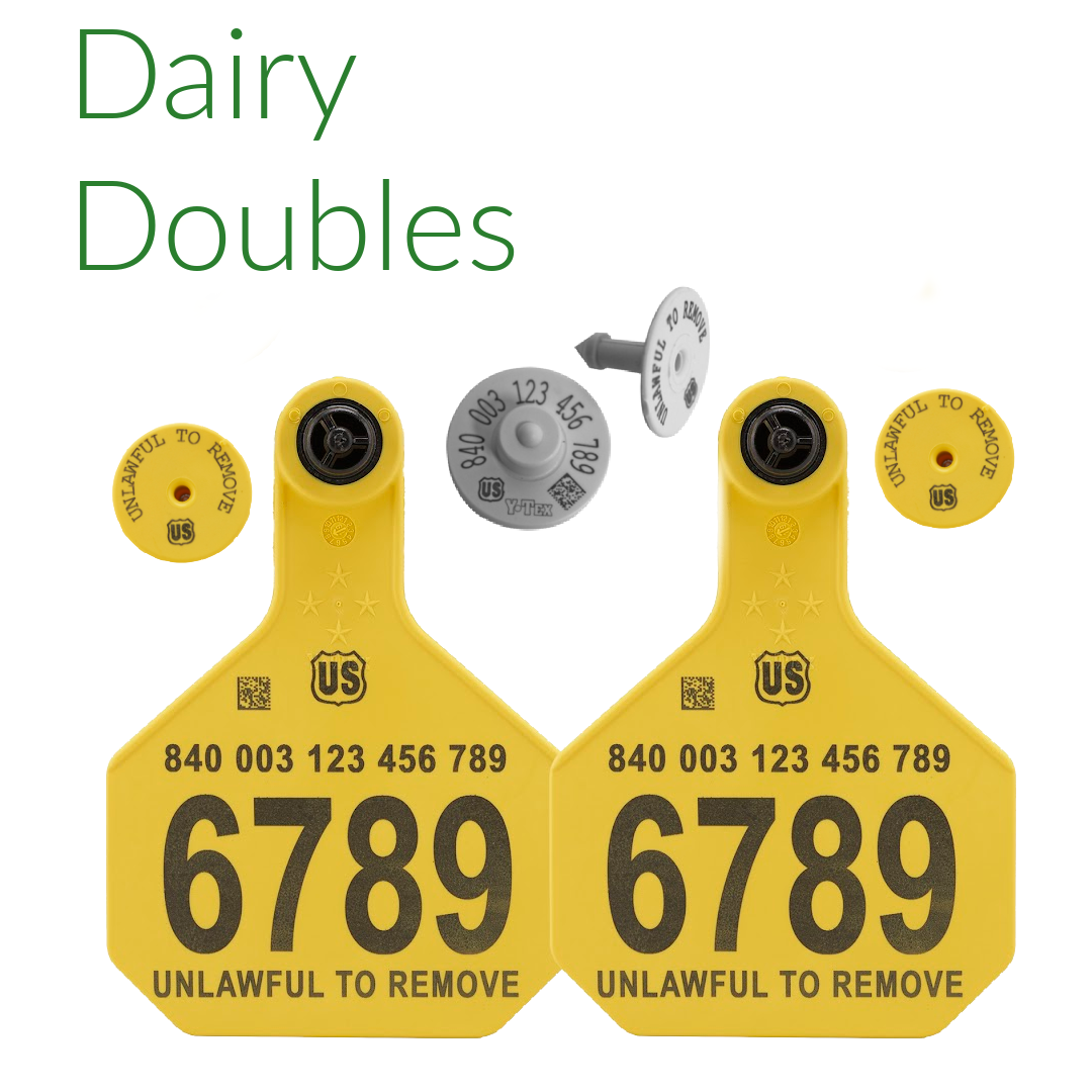 CCK sells Dairy Doubles matched to EID tag