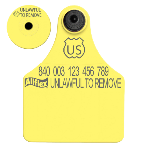 Allflex Global Large Blank Tag With Button - Tamperproof - USDA 840 Visual