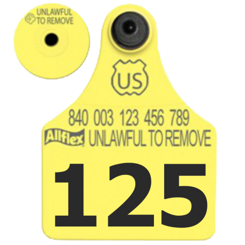 Allflex Global Large Numbered 1 Side Tag With Button - Tamperproof - USDA 840 Visual