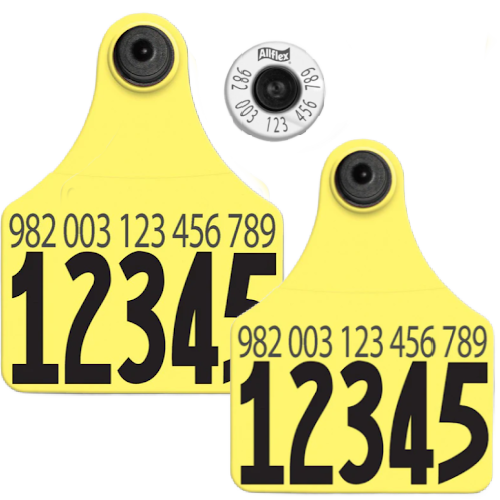 Allflex - Dairy Double - 2 Global Large Numbered 1 Side Tags With Buttons - Tamperproof - 982 Matched Set - HDX