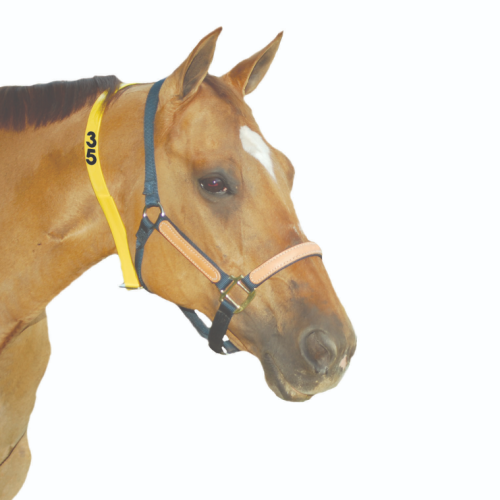 Bock Numbered Equine Neck Strap - Up to 5 Digits - 48"