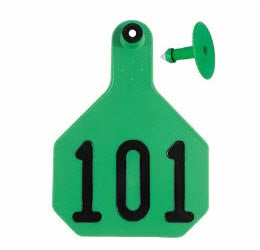 Y-Tex AA Large 4* Numbered 1 Side Tag With Button