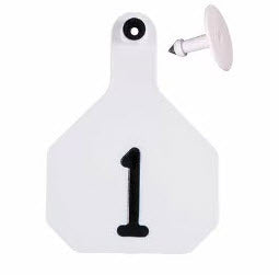 Y-Tex AA Large 4* Numbered 1 Side Tag With Button