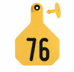 Y-Tex AA Large 4* Numbered 1 Side Tag With Button