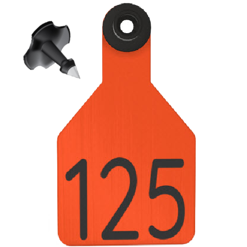 Ritchey Universal Medium Numbered 1 Side Tag With Black Button