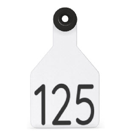 Ritchey Universal Medium Numbered 1 Side Tag With Black Button