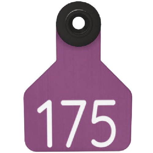 Ritchey Universal Small Custom 1 Side Tag - Female Tag Only