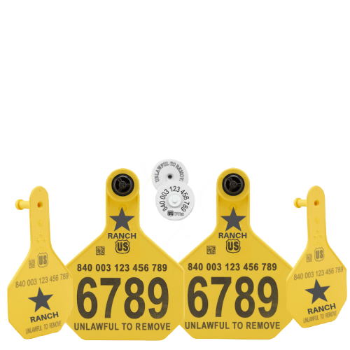 Y-Tex - Dairy Double - 2 AA Large 4* Custom 1 Side Tags With Medium 3* Male Blank Tags - Tamperproof - Matched Set - HDX