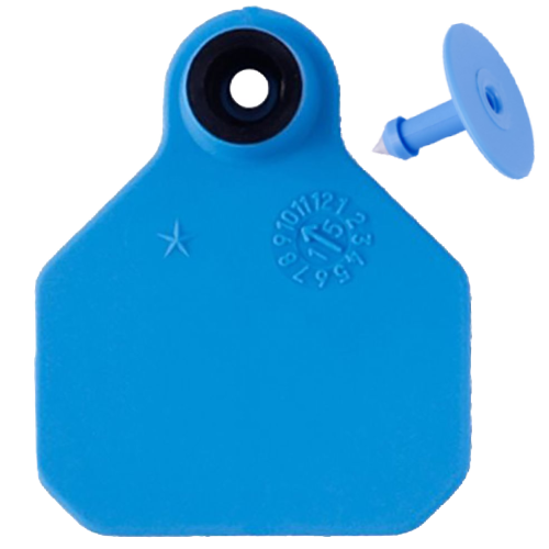 Y-Tex AA Mini 1* Blank Tag With Button