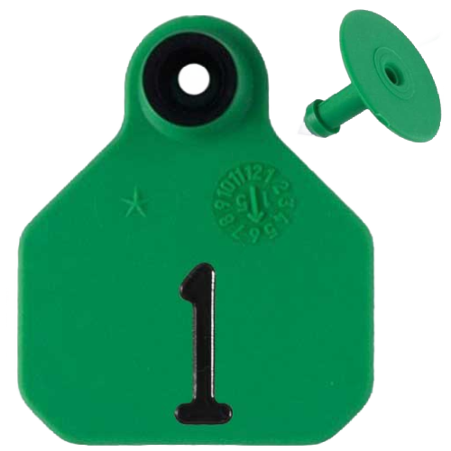 Y-Tex AA Mini 1* Numbered 1 Side Tag With Button