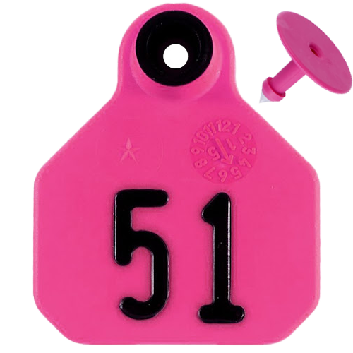 Y-Tex AA Mini 1* Numbered 1 Side Tag With Button