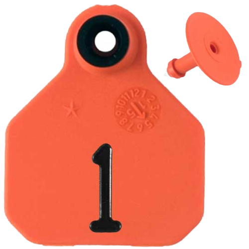 Y-Tex AA Mini 1* Numbered 1 Side Tag With Button