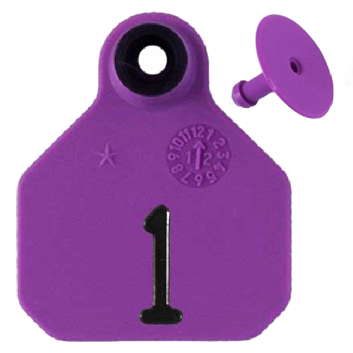 Y-Tex AA Mini 1* Numbered 1 Side Tag With Button