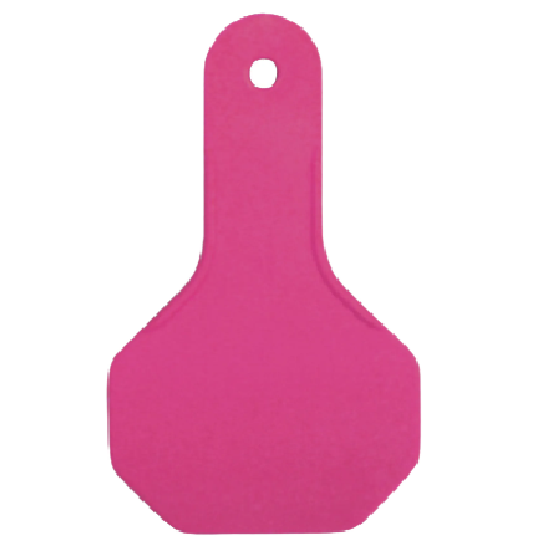 Y-Tex AA Small 2* Blank Tag - Female Tag Only