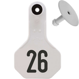 Y-Tex AA Small 2* Numbered 1 Side Tag With Button