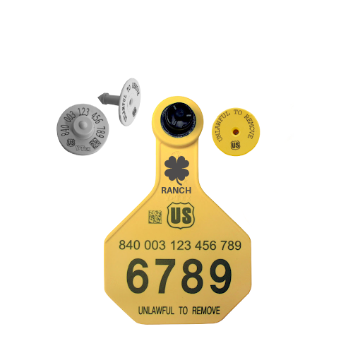 Y-Tex AA Medium 3* Custom 1 Side Tag With Button - Tamperproof - RFID Matched Set - HDX