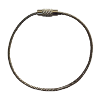 Keychain cable