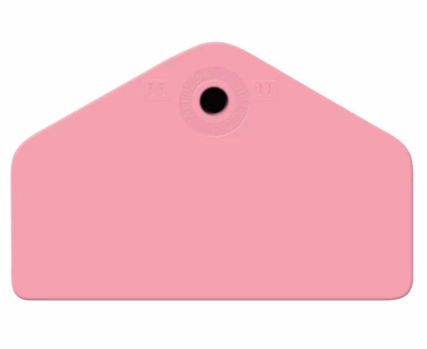 Allflex Global Hog Male Custom Tag With Round