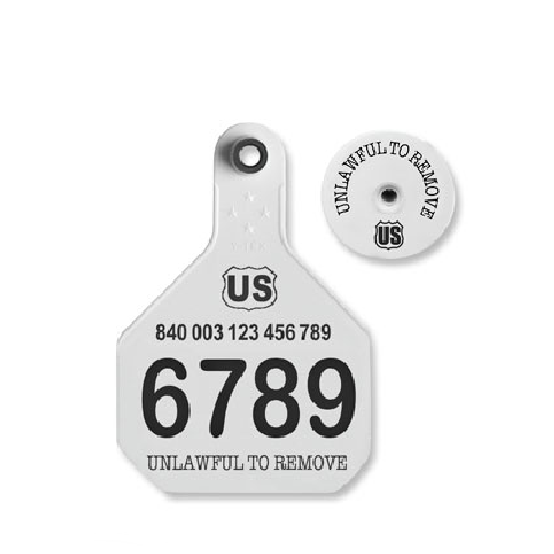 Y-Tex AA Large 4* Numbered 2 Sides Tag With Button - Tamperproof